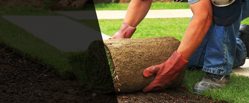 Belcourt Landscapers